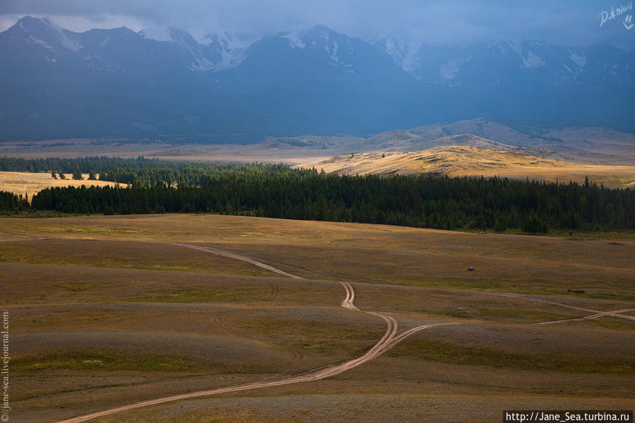 Курайская степь, Северо-Чуйский хребет Республика Алтай, Россия
