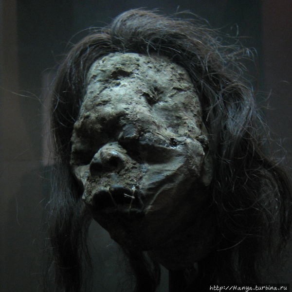 Из интернета