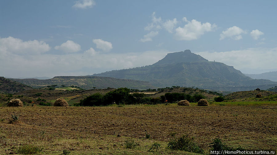 В чаше Сыменских гор Сымен Национальный Парк, Эфиопия