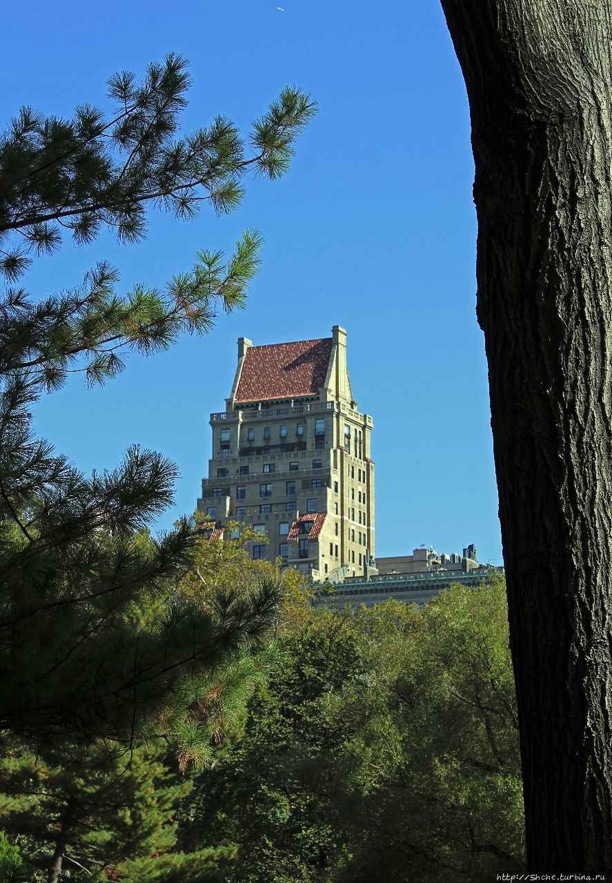 Центральный парк Нью-Йорк, CША