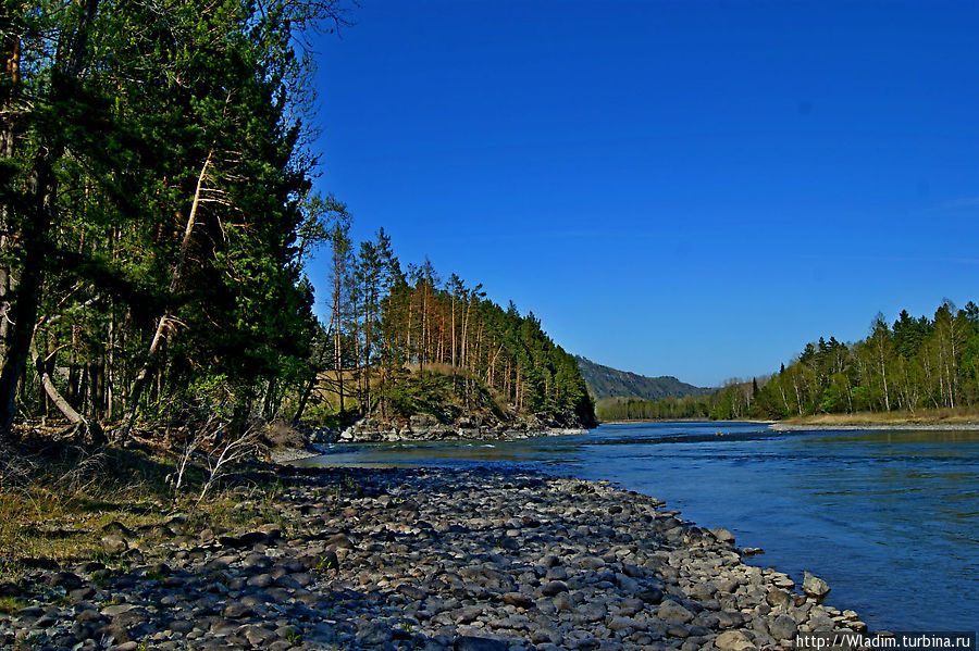 Катунь — река на Алтае Алтайское, Россия