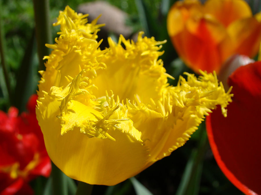 Девочки! Весна! Москва, Россия