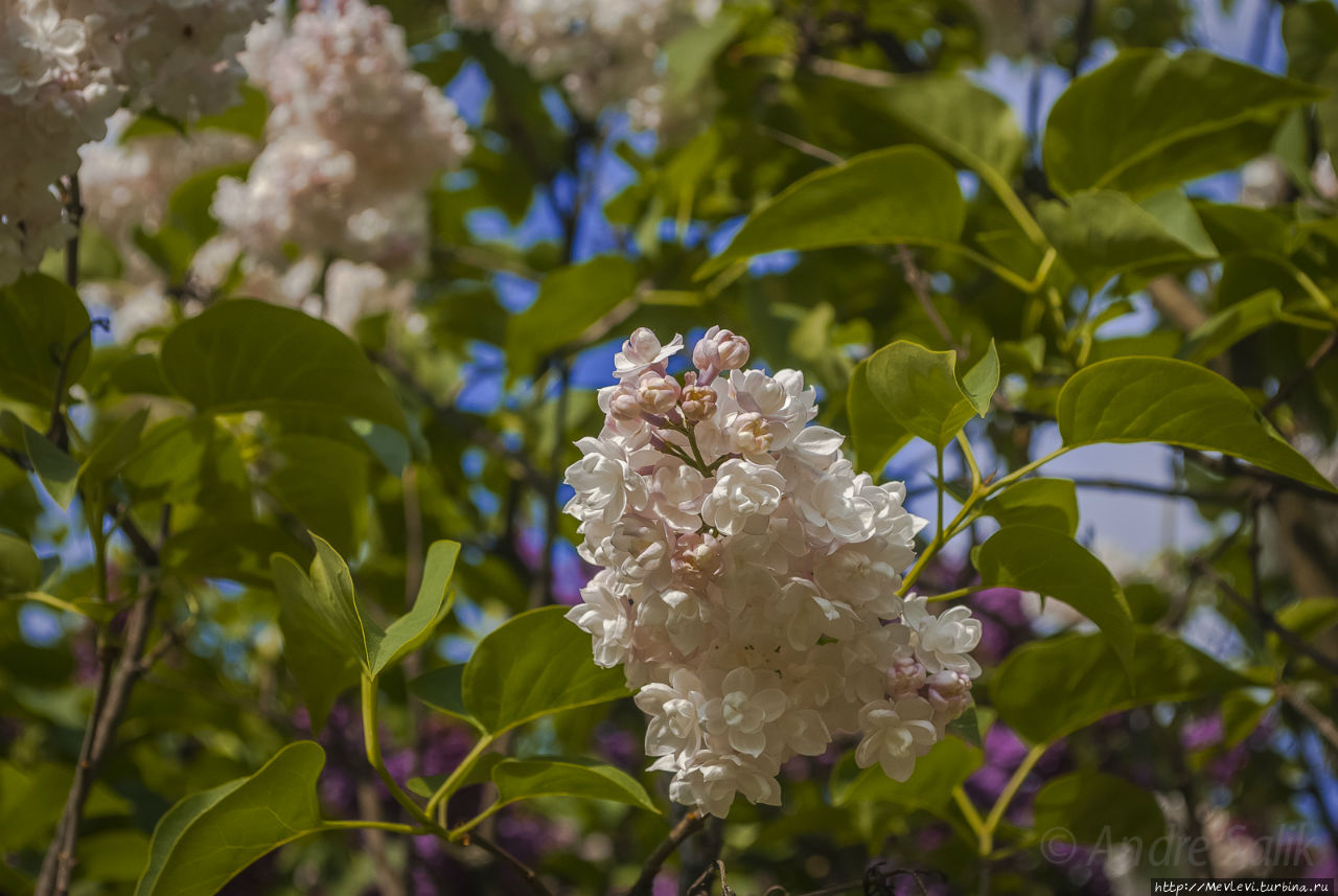 В воскресенье у Оперного Рига, Латвия