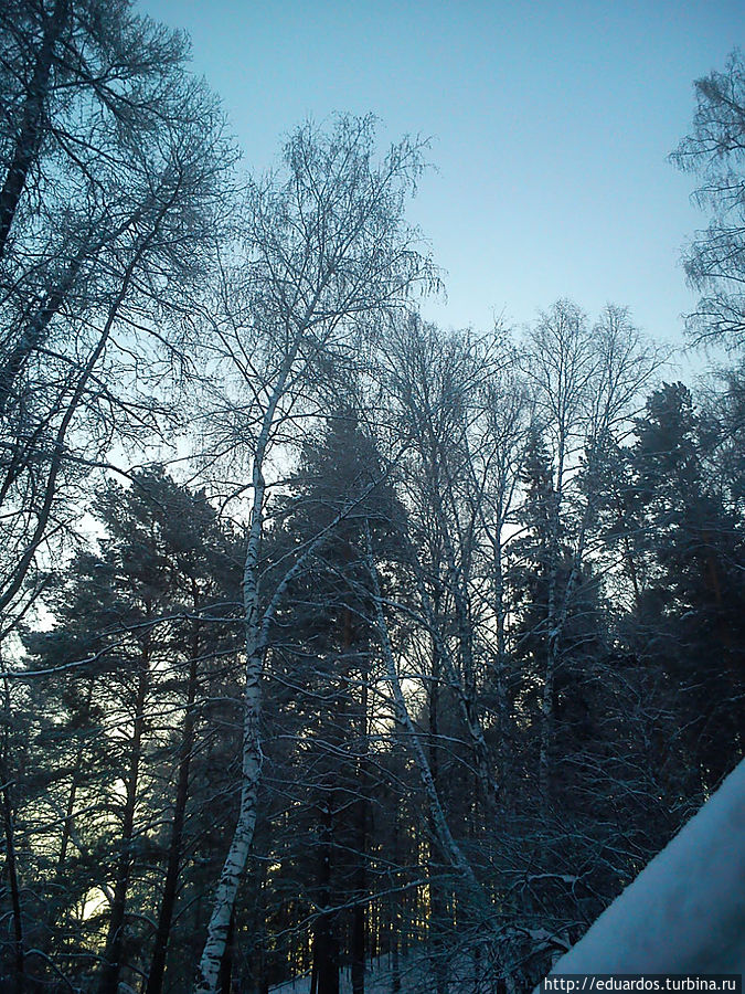 С наступившим вас 2013 !!!