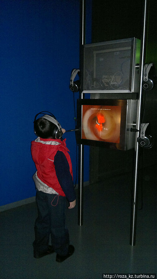 Дом музыки для немузыкантов Вена, Австрия