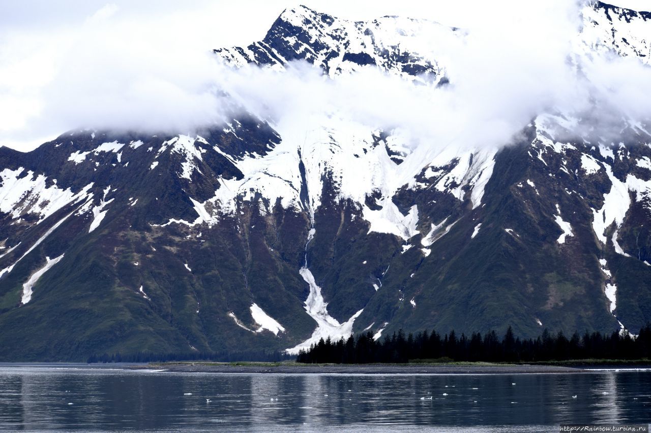 Морское золото Аляски Национальный парк Кенай-Фьордс, CША