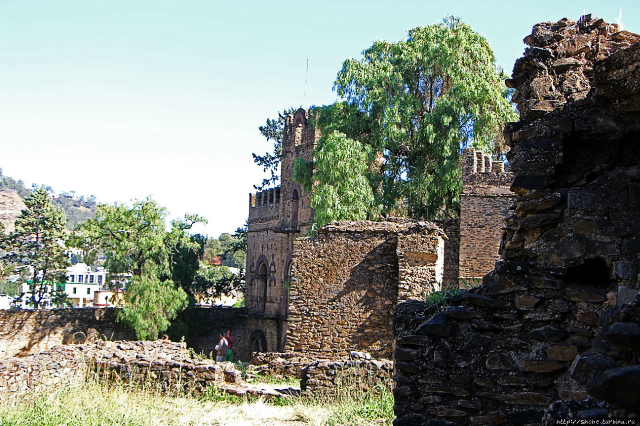 Фасил-Гебби — крепость города Гондэр (объект ЮНЕСКО №19) Гондер, Эфиопия