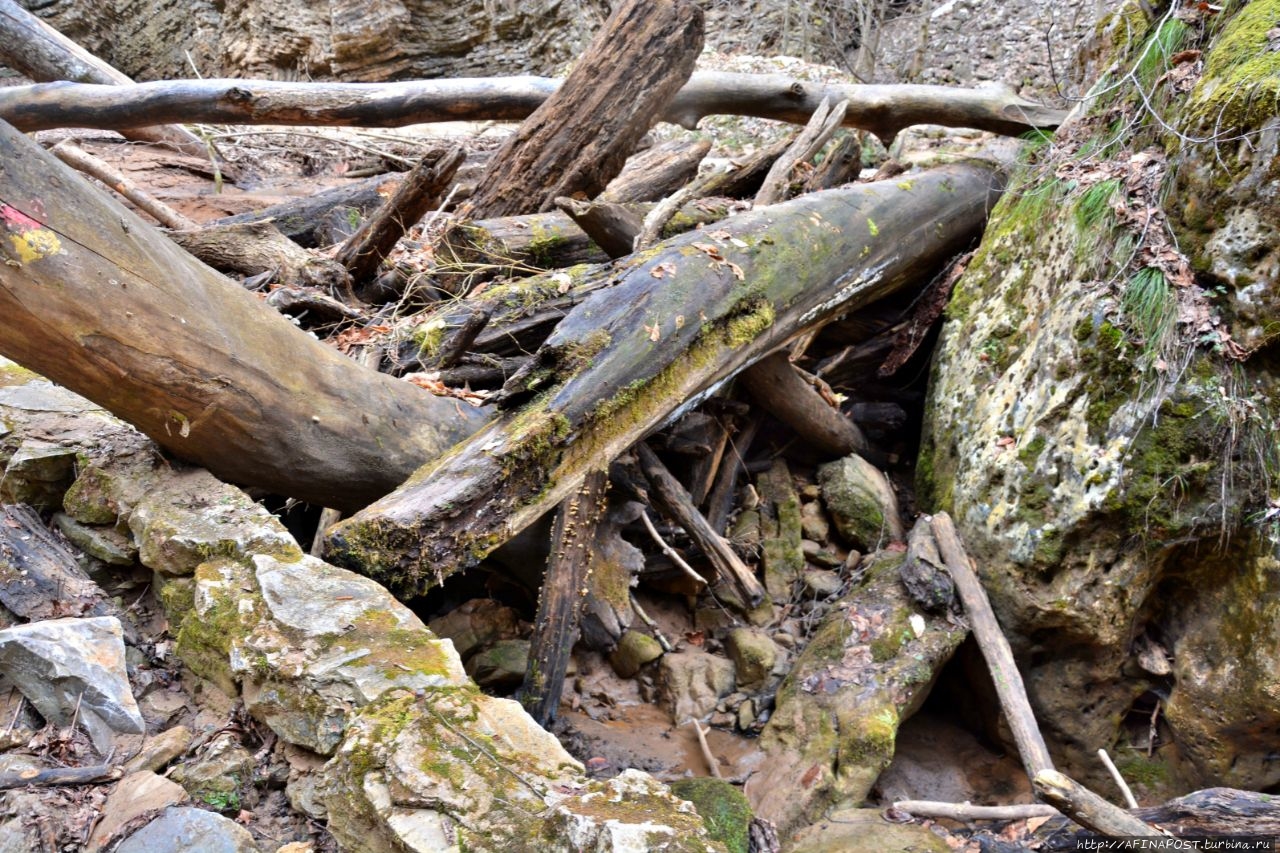 Водопады Руфабго Каменномостский, Россия