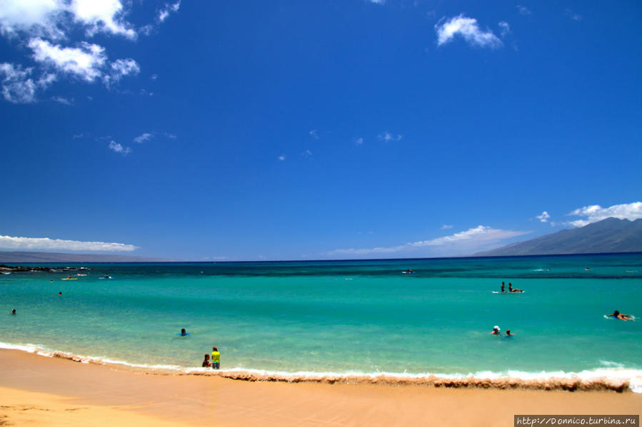 Двойной удар по Гавайям: Алоха из эпицентра событий Остров Мауи, CША