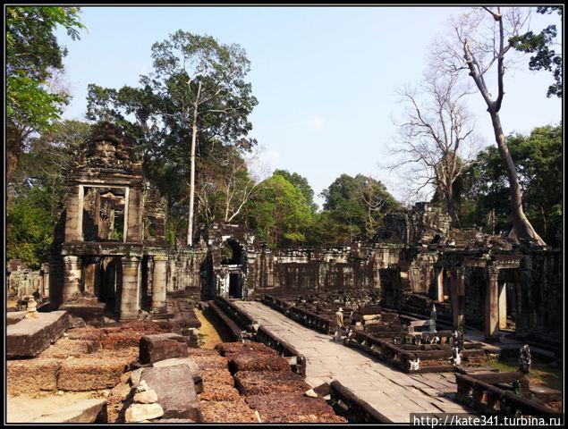 Прекрасный Ангкор и долгая дорога домой Сиемреап, Камбоджа