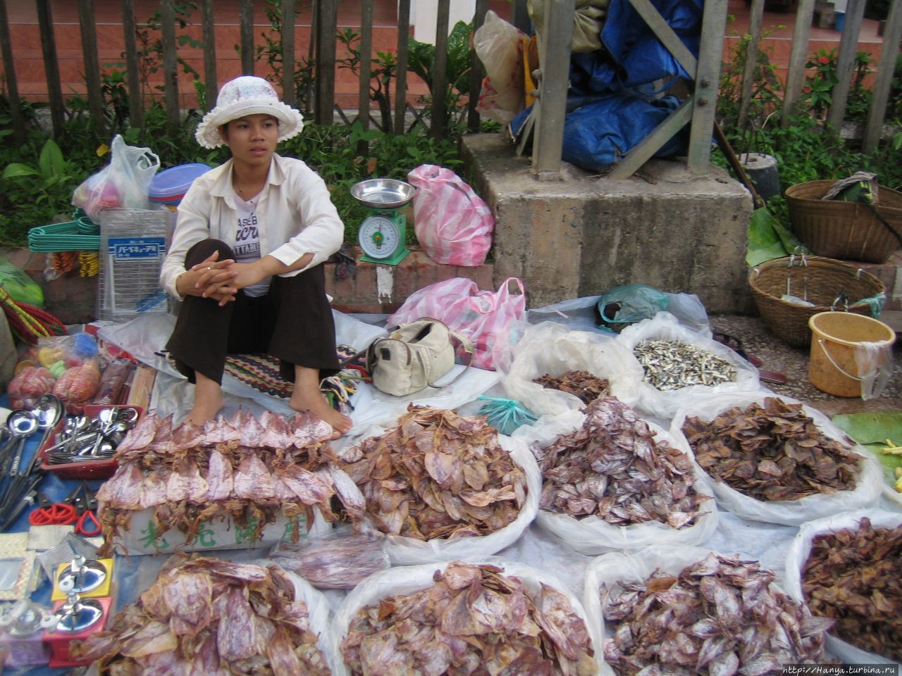 Утренний овощной рынок Луангпрабанга / Morning Market of Luangprabang