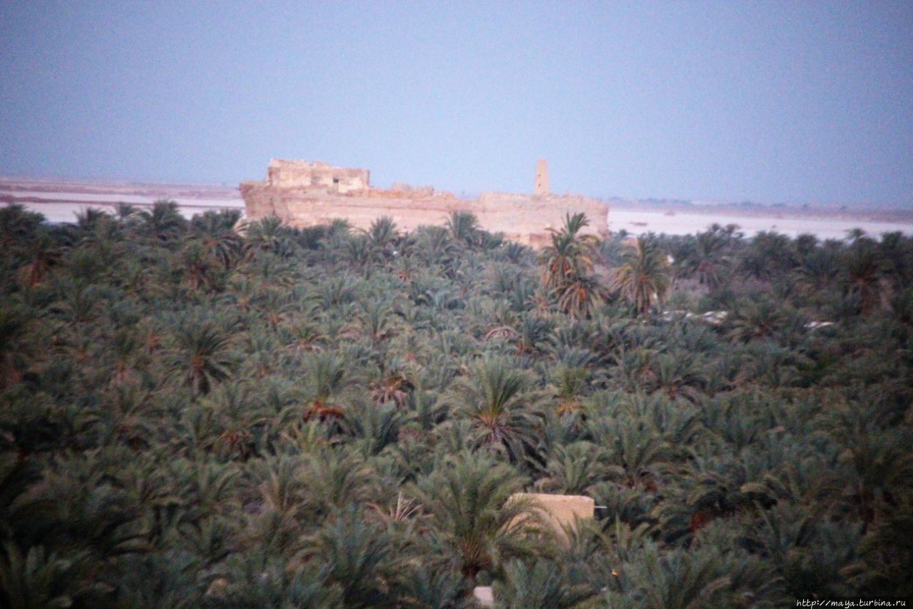 Крепость Шали Оазис Сива, Египет