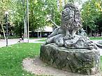 Лев в парке Монтаньола Болонья