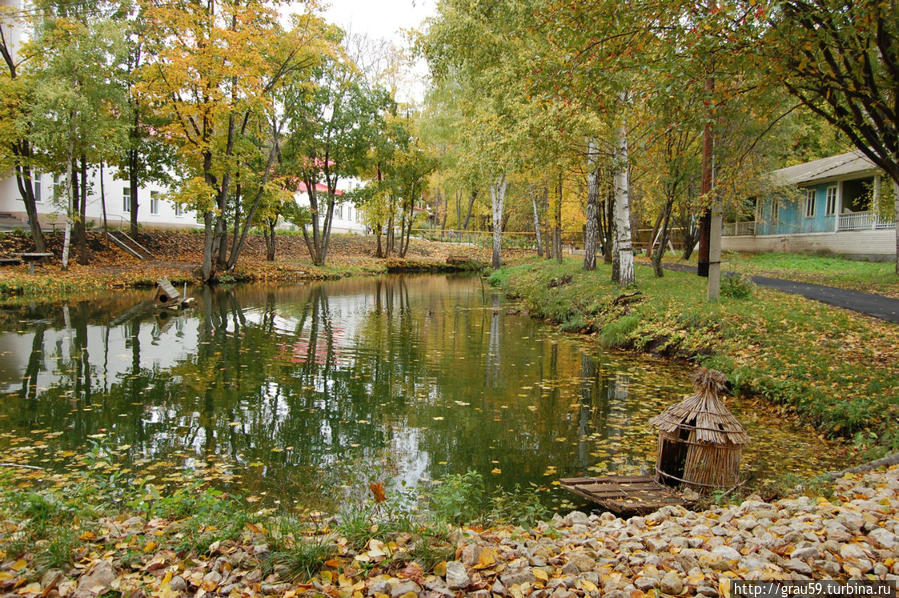 Черемшаны. Живая и мёртвая вода Черемшаны, Россия