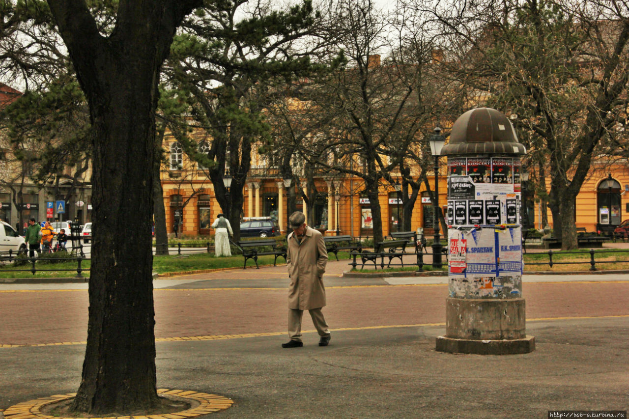 Суботица. Город велосипедистов Суботица, Сербия