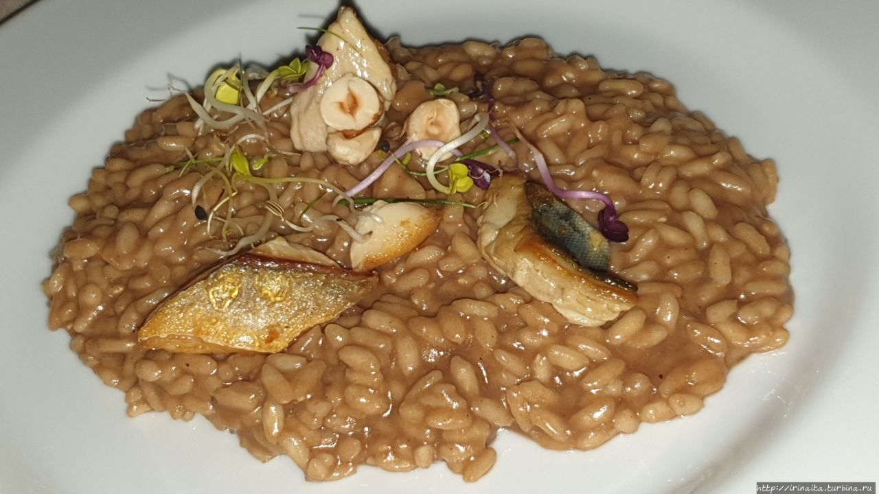 Ждём праздника RISATE&RISOTTI, 2 сентября в Витербо Витербо, Италия