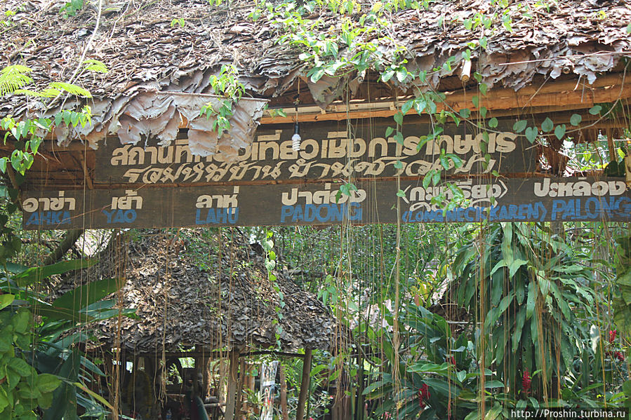 Под Чианграем, 5-й день, деревня каренов, акха, лаху, яо Чианграй, Таиланд