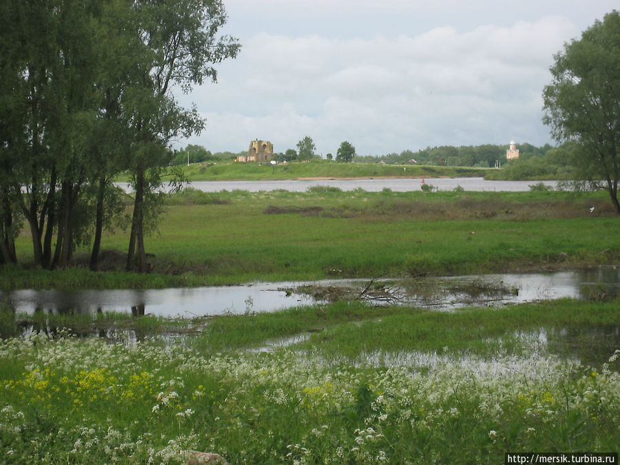 Витославлицы Великий Новгород, Россия