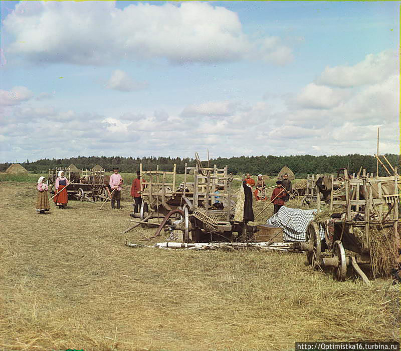 1909. На сенокосе около привала. Новгородская губерния Россия