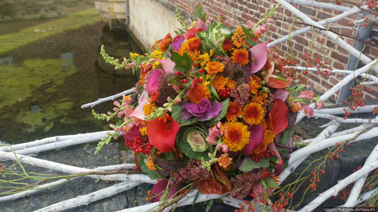 Фестиваль цветов Fleur Amor Билзен, Бельгия