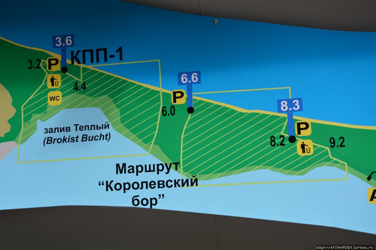 Карта куршской косы калининградская область