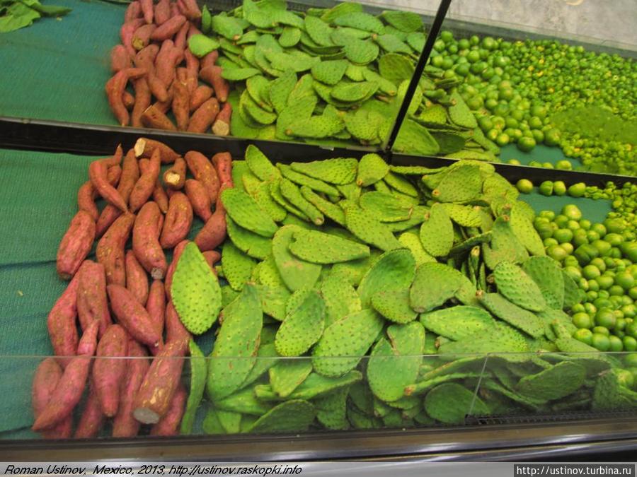 кактусы в гастрономе Мексика