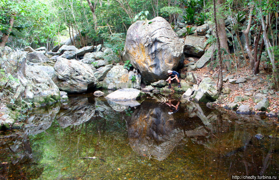 Тропинки в джунглях. Баттери Гат Крус-Бей, Виргинские острова