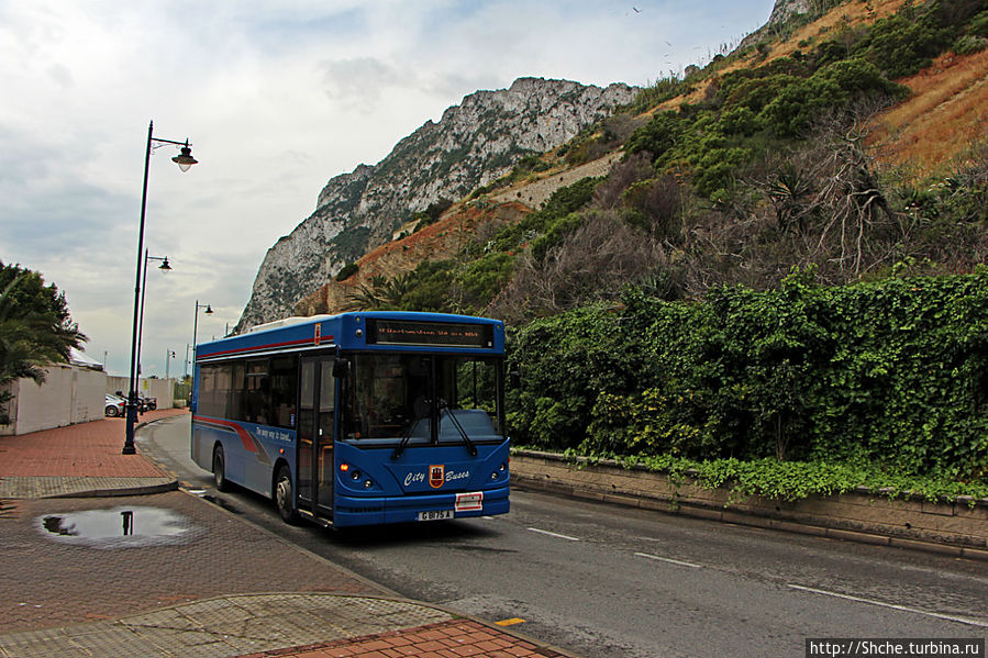 автобус подходит к остановке возле моего отеля Гибралтар