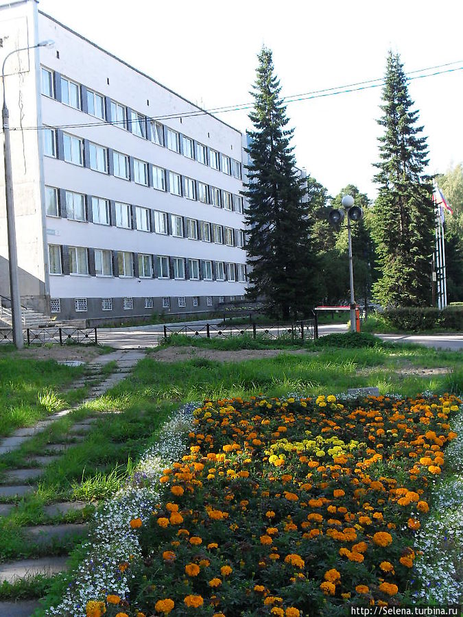 Сосновый Бор — знакомство с городом Сосновый Бор, Россия