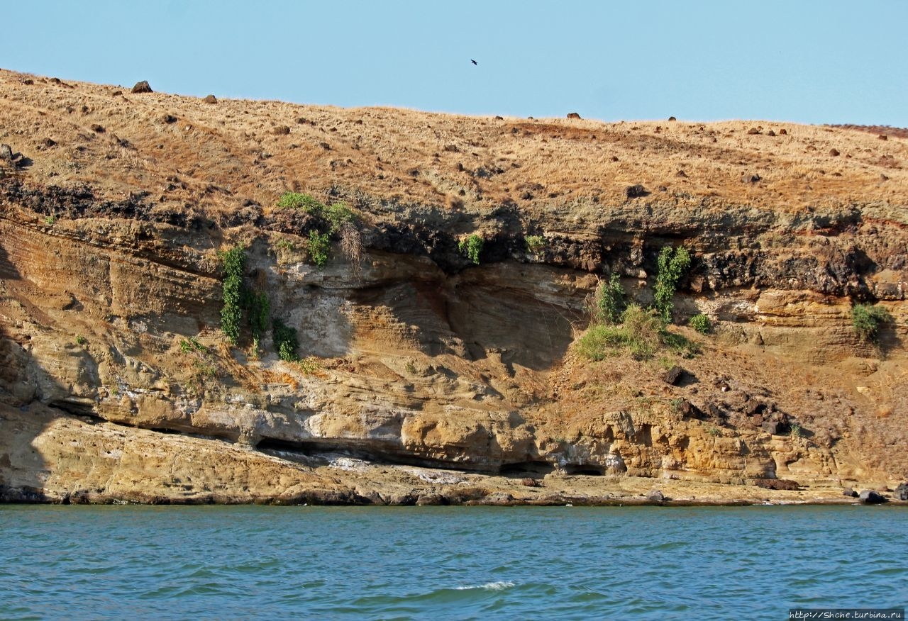 Кратерное озеро Фламинго Остров Центральный, озеро Туркана, Кения