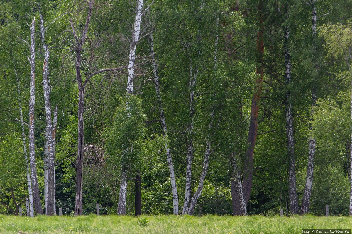 Приокский заповедник Приокско-Террасный Биосферный Заповедник, Россия