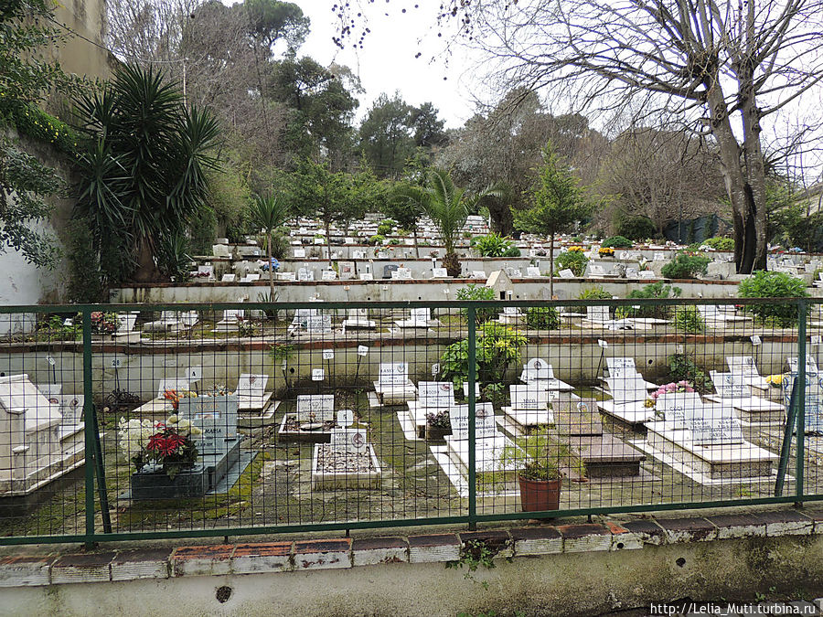 кладбище домашних животных... Лиссабон, Португалия