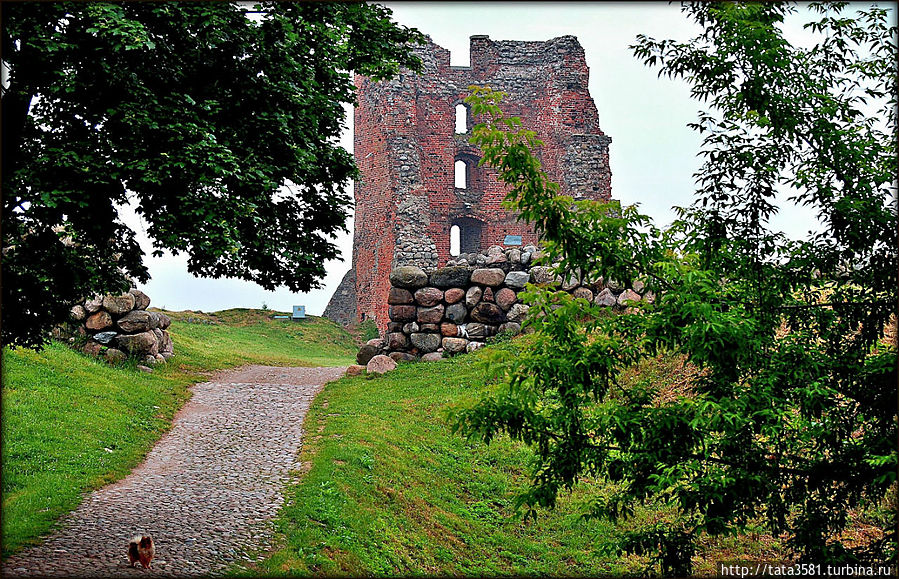 Замок Миндовга (руины) Навагрудак, Беларусь