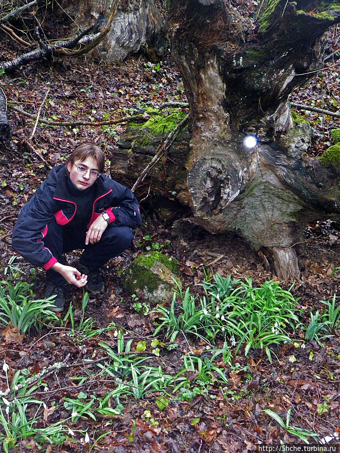 мы не будем цветочки рвать...
