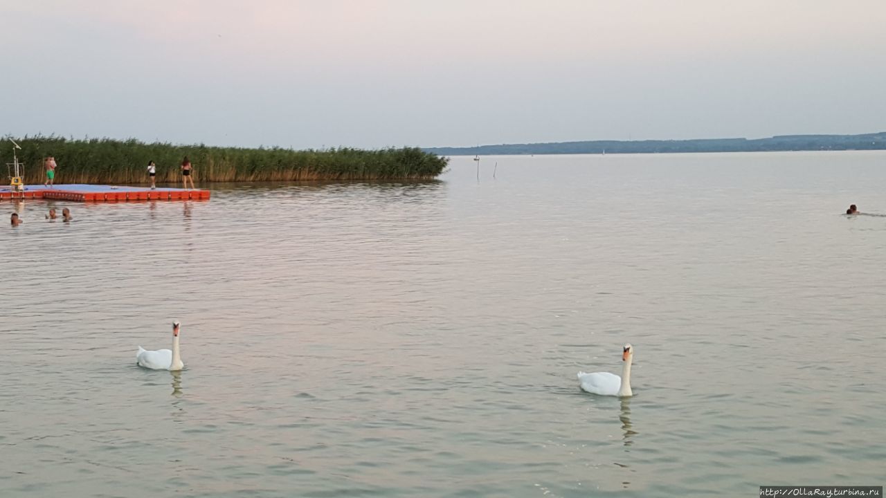 Пляж Diási Játékstrand, Gyenesdiás. Кестхей, Венгрия