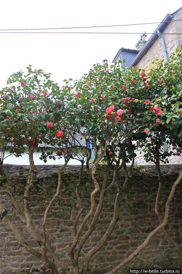 Променад Пети Фоссе : крутые горки красоты Динан, Франция