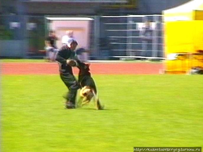 Первый день Зигера в Ульме. Проверка поведения. Германия