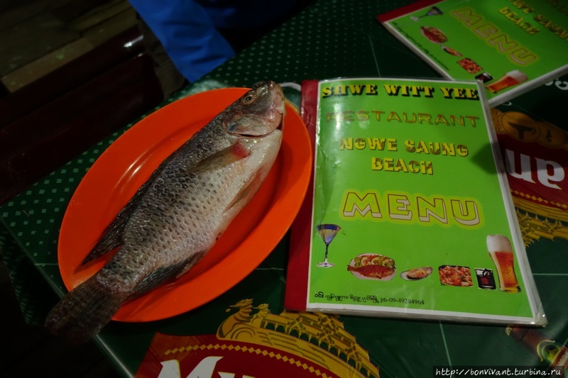 Рыбка до... Нгве-Сон, Мьянма