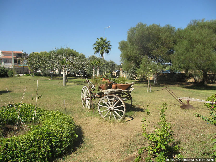 Didim Beach Resort and Spa Дидим, Турция