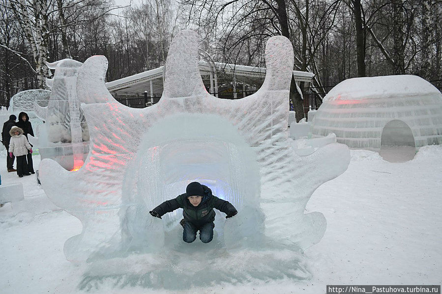 Зимние  забавы Москва, Россия