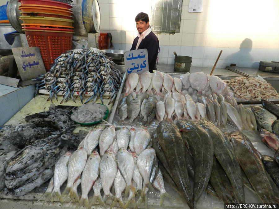 Рыбный рынок Эль Кувейт, Кувейт
