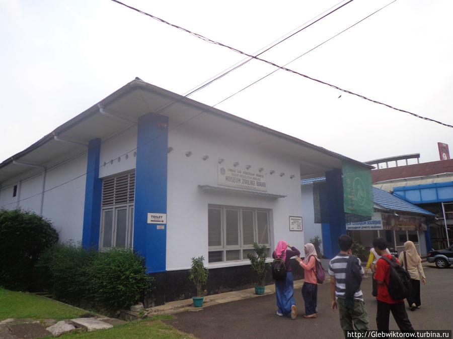 Зоомузей  в г.Богор / Bogor Zoomuseum