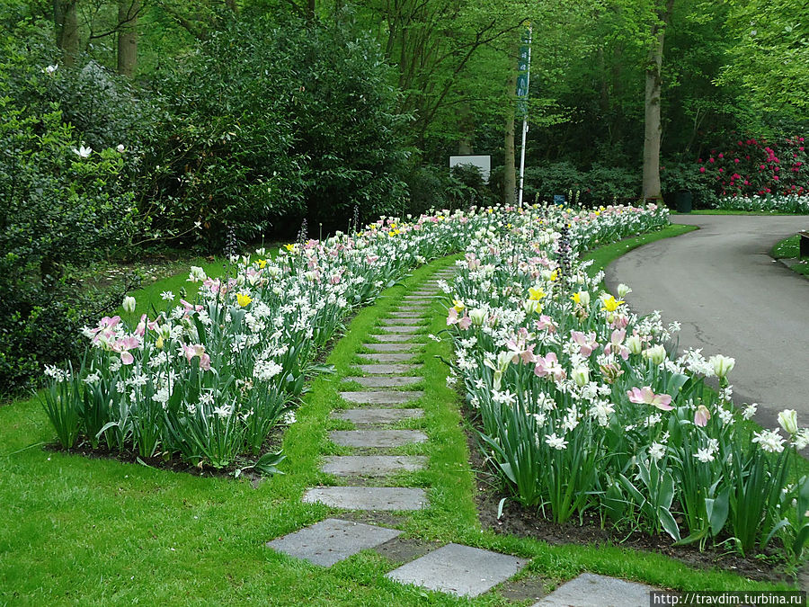 Цветочный рай для милых дам Кёкенхоф, Нидерланды