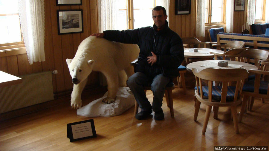 Медведь в церкви Лонгийербюен, Свальбард