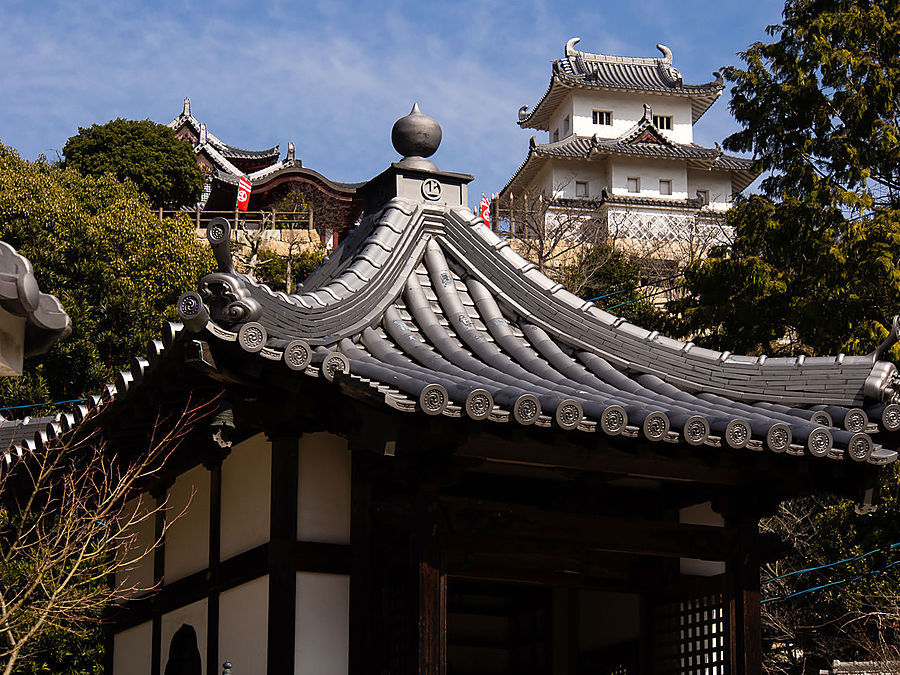Единственная настоящая вещь здесь — это расположенный рядом с замком храм, а точнее его кладбище, фамильное кладбище клана Мураками. Ономити, Япония
