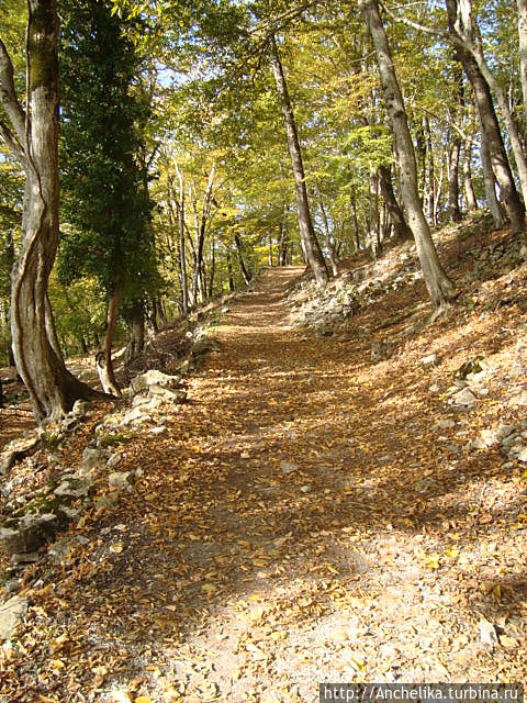 Дорога в гору.