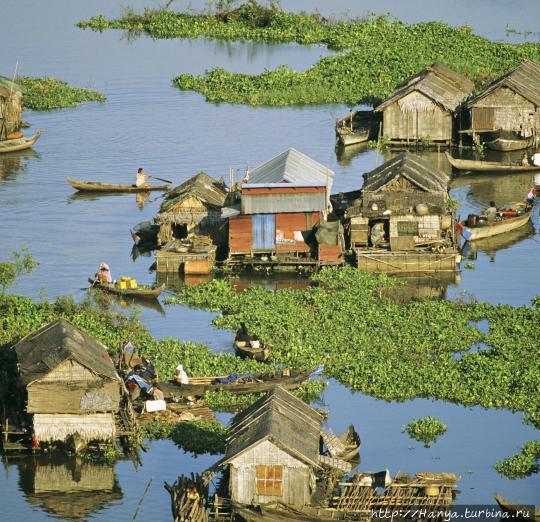 Озеро Тонле Сап. Фото из интернета Сиемреап, Камбоджа