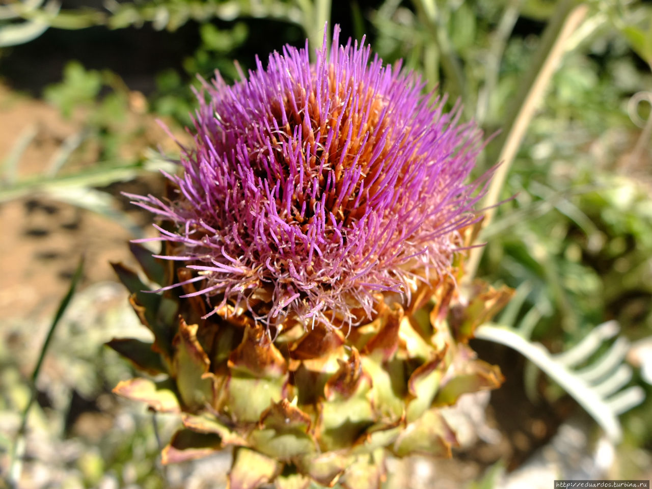 Отель — смехотель Марат))) Гаспра, Россия