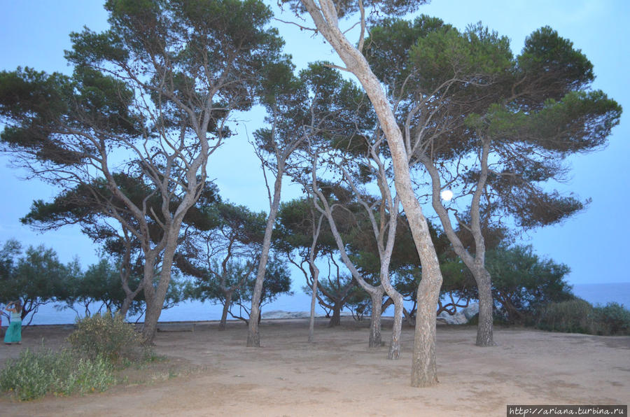 Русские в С`Агаро. Тропа Camino de ronda С'Агаро, Испания