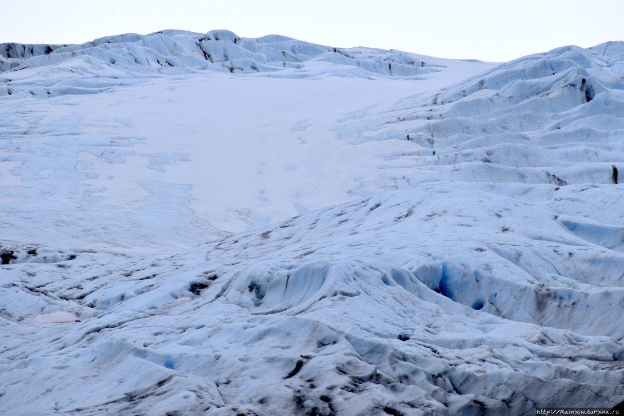 Куда уходят ледники Национальный парк Кенай-Фьордс, CША